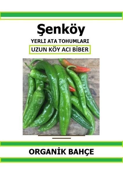 Yerli Uzun Köy Acı Kapya Biber Tohumu Doğal Ata Tohum Pakette 20 Tohum + Sebze Tohumu