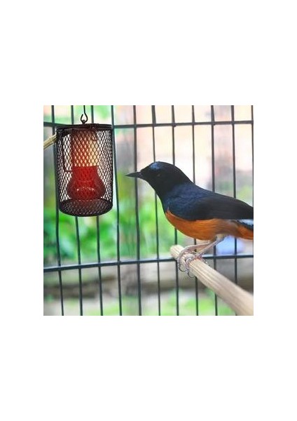 100 W Pet Isıtma Sürüngen Isı Lambası Pet Kafes Isı Yeminli Pet Coop Isıtıcı Kiti Isı Işık Ampul Pet Brooder Tavuklar Sürüngen | Birdcage Standları (Yurt Dışından) fırsatları