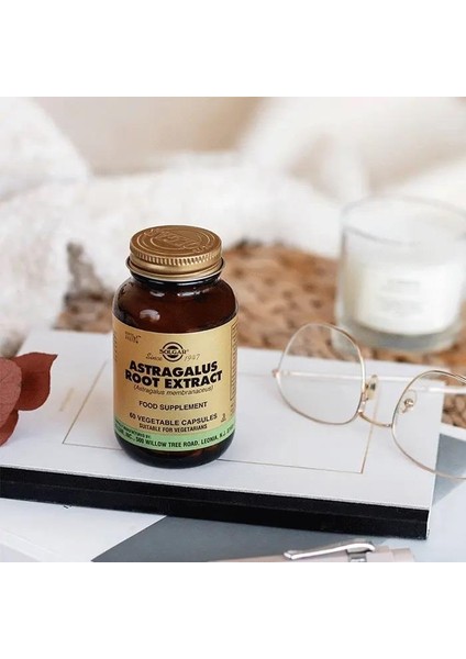 Astragalus Root 60 Kapsül 2 Adet