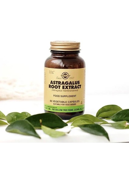 Astragalus Root 60 Kapsül 2 Adet