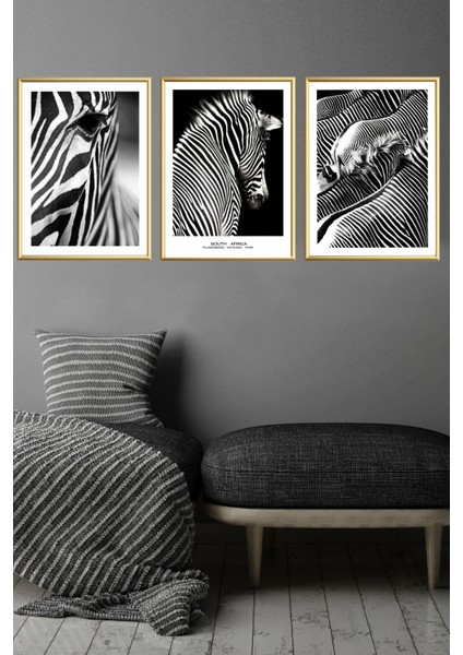 Üçlü Gold Alüminyum Siyah Beyaz Zebra Metal Çerçeveli Camlı Poster Tablo Set