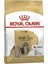 Shih Tzu Yetişkin Köpek Maması 1.5 kg 1