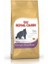 British Shorthair Yetişkin Kedi Maması 4 kg 1
