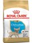 Royal Canın Chihuahua Puppy Junior 1,5 kg Yavru Köpek Maması 1