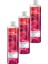 Senses Rapsberry Delight Frambuaz ve Frenk Üzümü Kokulu Duş Jeli 500 ml 3'lü 1