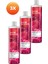 Senses Rapsberry Delight Frambuaz ve Frenk Üzümü Kokulu Duş Jeli 500 ml 3'lü 2