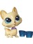 Littlest Pet Shop Tekli Miniş Corgi Regalton 2