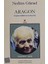 Aragon - Nedim Gürsel 1
