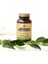 Astragalus Root 60 Kapsül 2 Adet 3