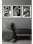 Üçlü Gold Alüminyum Siyah Beyaz Zebra Metal Çerçeveli Camlı Poster Tablo Set 1