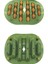 Ayak Refleksoloji Masaj Roller, Acupressure Ayak Uyarıcı Roller 1