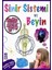 Sinir Sistemi ve Beyin - Sema Gül 1