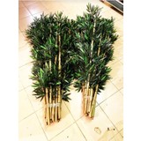 Gardenonya Yapay Çiçek 180 cm Islak Doku Bambu 10 Adet