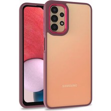 Gpack Samsung Galaxy A53 5g Flora Sert Silikon Arkası Cam Şeffaf Kırmızı