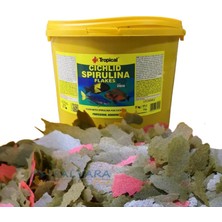 Tropical Cichlid Spirulina Flakes 250 Gram Pul Balık Yemi