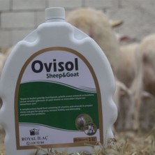 Royal Ovisol Sheep & Goat 1lt Koyun, Kuzu, Keçi Sıvı Yem Katkı