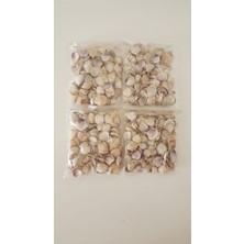 Emily Samy Deniz Kabuğu 100 gr