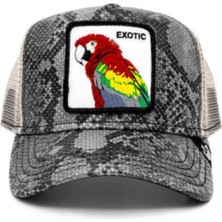 Goorin Bros Margaritaville (Papağan Figürlü) Deri Görünümlü Şapka