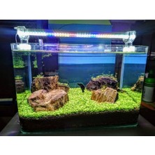 Orion Led 130 cm 4 Renk Full Spectrum Bitkili Akvaryum LED Aydınlatma 4RENK130
