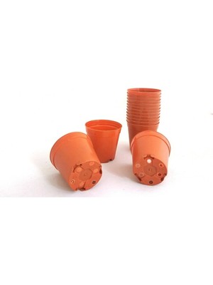 Ucuzz Avm Ucuzzavm Kaktüs & Sukulent Üretim Saksı 5,5 cm 500 Adet