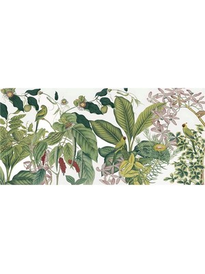 Eko Dekor Botanik Özel Tasarım Duvar Kağıdı  Kanvas Tek Parca