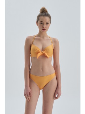 Dagi Sarı Kaplı Bikini Üstü