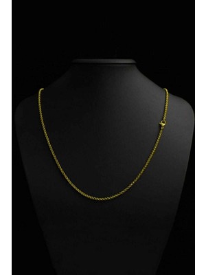 The Collection 1,5 mm Forse Unisex Gold Çelik Zincir Kolye