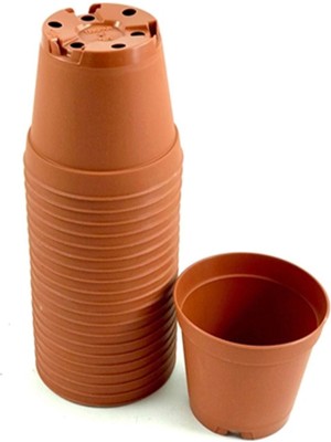 Kaktüs & Sukulent Üretim Saksı 5,5 cm 50 Adet