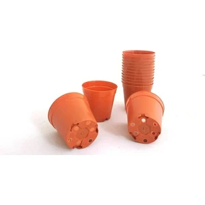 Ucuzz Avm Ucuzzavm Kaktüs & Sukulent Üretim Saksı 5,5 cm 500 Adet