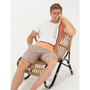 Pierre Cardin Erkek Coral Slim Fit Bisiklet Yaka Tişört 50249351-VR204