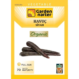 Garden Narter Siyah Havuç Tohumu Doğal Organik Tohum Pakette 500 Tohum +  Sebze Tohumu