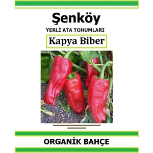 Yerli Tatlı Kapya Biber Tohumu Doğal Ata Tohum Pakette 50 Tohum +  Sebze Tohumu