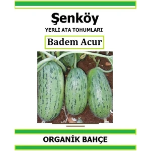 Yerli Parmak Badem Acur Tohumu Doğal Ata Turşuluk Badem Acur Tohumu Pakette 20 Tohum