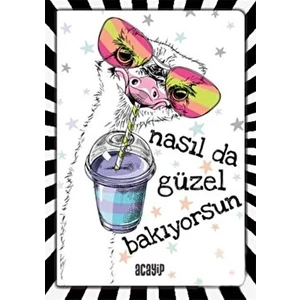 Havalı Tembel Hayvan Defter - Çılgın Defterler