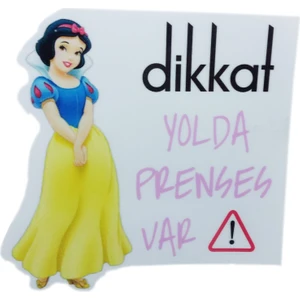 Dikkat Ajans Stic. Prenses Yolda
