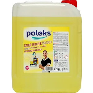 Yüzey Temizleyici Yoğun Parfümlü Fresh 5 Lt