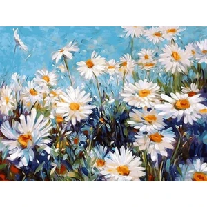 Womb Hobby Papatyalar Sayılarla Boyama Seti 40X50 cm (Tuvale Gerili)