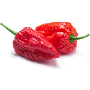 Hayalet Biber (Ghost Pepper) Tohumu (5 Tohum)