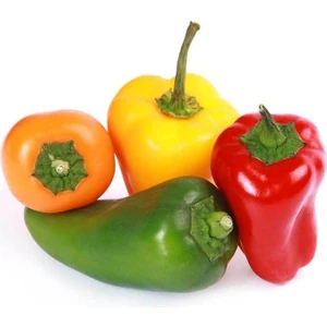 Karışık Renkli Mini Kapya Biber Tohumu (20 Tohum)