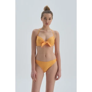 Sarı Kaplı Bikini Üstü