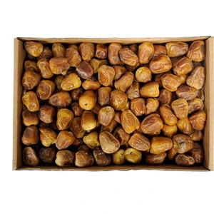 Payitaht Hurma Medine Sukkari Duble Taze - Yaş Hurma - 3,5 kg