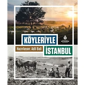 Köyleriyle Istanbul - Aydan Çelik