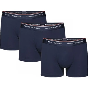 Tommy Hilfiger Erkek 3 Lü Boxer 1u87903842-409