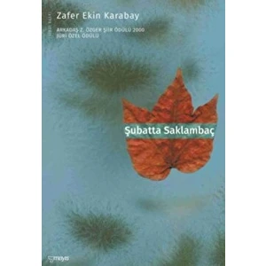 Şubatta Saklambaç