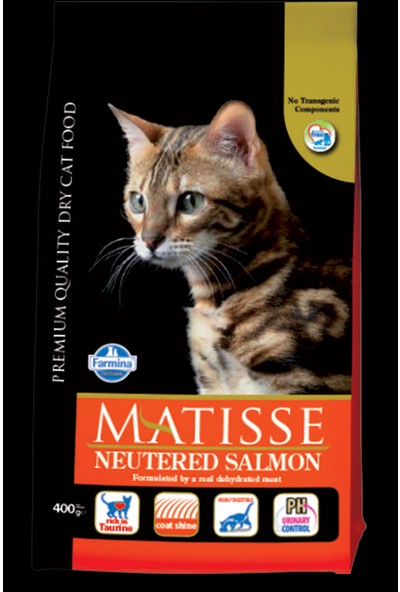 Matisse Kısırlaştırılmış Somonlu Yetişkin Kedi Maması 10 kg