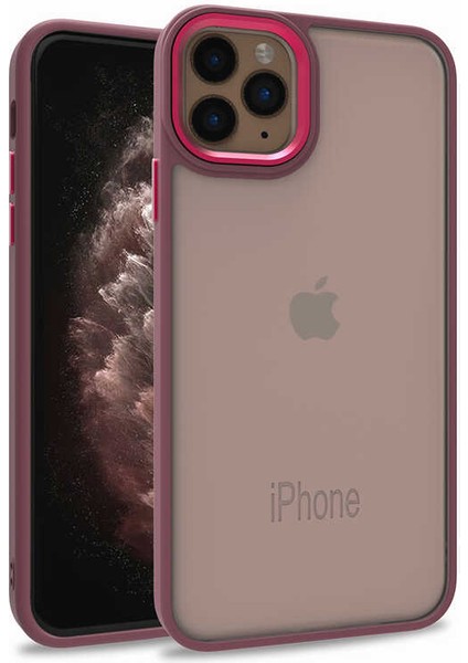 Apple iPhone 11 Pro Max Kılıf Flora Sert Silikon Arkası Cam Şeffaf Kırmızı