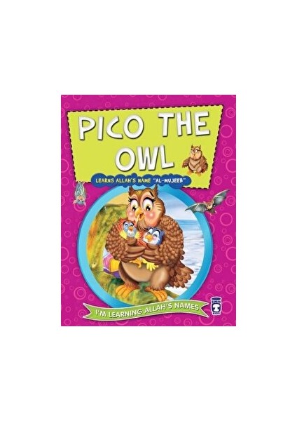 Pico The Owl Learns Allah's Name Al Mujeeb - Nur Kutlu