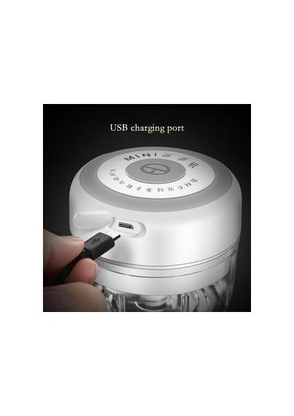 Elektrikli Gıda Crusher Mini Sarımsak Basın Sarımsak Sebze Kıyıcı Mutfak Ezilmiş Sarımsak Zencefil Ezilmiş Biber Beyaz, 250ML (Yurt Dışından)