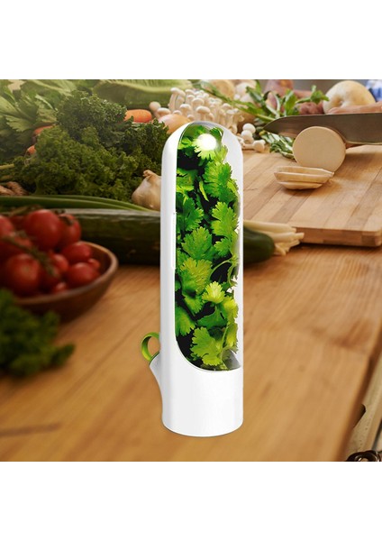 Herb Saklama Konteyneri Mutfak Eşyaları Için Taze Yeşillik Sebze Tutar (Yurt Dışından) indirimleri