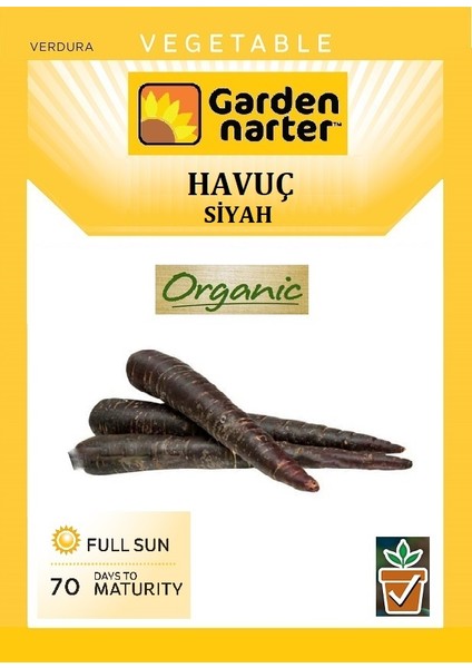 Siyah Havuç Tohumu Doğal Organik Tohum Pakette 500 Tohum + Sebze Tohumu
